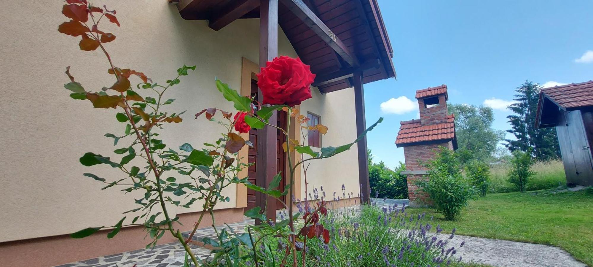 Holiday House And Apartments Vale Duga Resa Exterior foto